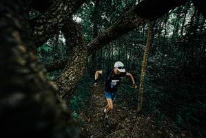 BIB: 
                            <button type="button" onclick="openModal(25683582)" class="btn btn-primary btn-sm float-right btn-popup" data-toggle="modal" data-target=".modal-high-quality">
                        <i class="fas fa-shopping-cart"></i> Add to Cart
                    </button>
                                            <button type="button" onclick="isThisMe(25683582, true)" class="btn btn-success btn-sm float-right btn-popup btn-isme hidden" data-toggle="tooltip" data-placement="bottom" title="นี่คือรูปของคุณใช่ไหม คลิกที่นี่เพื่อเอาเข้าอัลบั้ม">
                        <i class="fas fa-plus"></i> Add to album
                    </button>
                    <button type="button" onclick="isThisMe(25683582, false)" class="btn btn-warning btn-sm float-right btn-popup btn-isnotme hidden">
                        <i class="fas fa-ban"></i> Remove from album
                    </button>